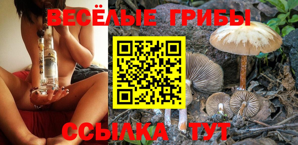 Псилоцибиновые грибы ЛСД  Галлюциногенные грибы MAGIC MUSHROOMS  Вход с VPN  Всеволожск 