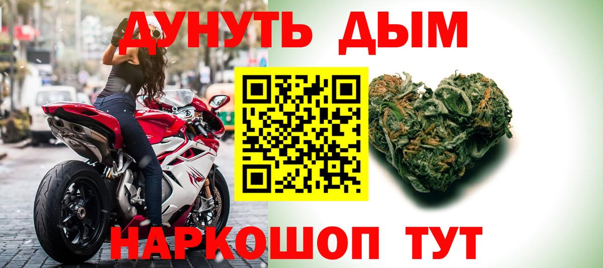 Бошки марихуана White Widow  Вход с VPN  Шишки марихуана план  Каннабис тримм  Всеволожск  Бошки марихуана Bruce Banner 